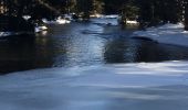 Randonnée Raquettes à neige La Llagonne - Le long du têt  - Photo 1