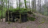 Tocht Mountainbike Momignies - Macquenoise - Bois de Saint Michel - Découverte de Bunkers - Photo 1