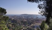 Percorso Marcia Tolone - Sortie N°1 confinement 20kms/3h - Faron - Toulon - Photo 6