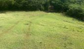 Tocht Trail Sainte-Anne - Modette - Photo 2