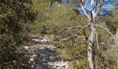 Excursión Marcha nórdica Gruissan - Le massif de la Clape Gruissan - Photo 10