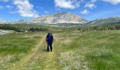 Randonnée Marche Saint-Agnan-en-Vercors - Grand Veymont- Vercors - Photo 1