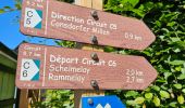 Tour Wandern Consdorf - 2023-06-19_09h33m43_Sentier_local_-_C6 - Photo 7