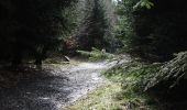 Tocht Te voet Bad Tabarz - Tabarz - Felsental - Großer Inselberg (Gelbes Quadrat) - Photo 3