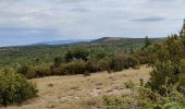 Trail Walking La Couvertoirade - La couvertoirade - Photo 3
