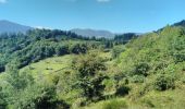 Randonnée Marche Oderen - TREK ALSACIEN (boucle, la meute) - Photo 20