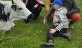 Trail Walking Xonrupt-Longemer - 2024 RA Vosges J4 autour du Kastelberg - Photo 17