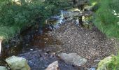 Excursión Senderismo Malmedy - Les fagnes en été - Photo 12