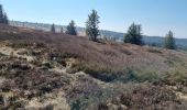 Trail Walking Plainfaing - rudlin - Photo 3