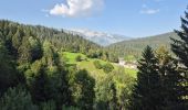 Trail Walking Laax - Senda Dil Dragun - Photo 1