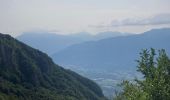 Randonnée Marche Cléry - Chalet de la balme col de la fougère  - Photo 5
