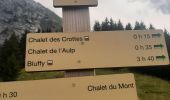 Trail Walking Talloires-Montmin - BORNES: UN PEU DE DENIVELE AU DEPART DE PLANFAIT - Photo 8