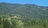 Tour Wandern Großmenglatt - Rando des Marcheurs du 7 Août 2025..Grosmagny - Photo 14
