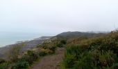 Excursión Senderismo Champeaux - les falaises de Carolles - Champeaux - Photo 18