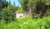 Tour Wandern Les Rousses - lac des rousses . roche blanche . fort du risoux - Photo 10