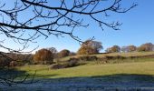 Tour Wandern Floreffe - Balade à Floreffe - Promenade de Robersart - Photo 5