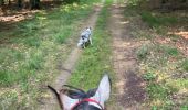 Trail Horseback riding Habay - Tucker avec les dadous 1ère fois - Photo 5