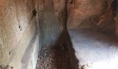 Percorso Marcia Obersteinbach - Obersteinbach - châteaux du Petit Arnsberg, du Wasigenstein et du Blumenstein - Photo 15