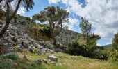 Trail On foot Municipal Unit of Fili - Κάστρο Φυλής - Ρέμα Θοδώρας - Φυλή - Photo 4