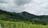 Percorso Marcia Mittelwihr - entre vignobles et forêts : boucle Mittelwihr- Bebleheim- Zellenberg - Hunawihr - Riquewihr- Mittelwihr  - Photo 4