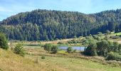 Tocht Stappen Septmoncel les Molunes - GTJ 8 Lajoux, Le Manon / La Pesse - Photo 2