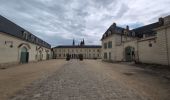 Tocht Stappen Montsoreau - Montsoreau - Candes-Saint-Martin Fontevraud-l'Abbaye - 24.4km 435m 5h40 (45mn) - 2024 07 14 - Photo 9