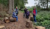 Tocht Stappen Lobbes - La sapiniere 17 10 20 - Photo 1