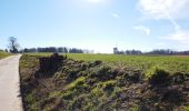 Tocht Elektrische fiets Ronse - Renaix - Louise Marie (chemins boisés) - Photo 7