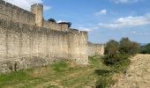 Tocht Stappen Carcassonne - Carcassonne Cité  - Photo 16