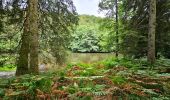 Trail Walking Florenville - Le Point de vue la Bohanan - Chassepierre - Photo 10