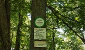 Trail Walking Mittelbergheim - BARR - LES 3 CHATEAUX (LANDSBERG- SPESBOURG -ANDLAU) - Photo 11