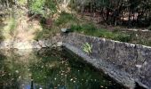 Randonnée Marche Le Revest-les-Eaux - La ripelle - barrage - Ragas - Olivières - Puit - Fourmis - Grottes de sable - Chateau Tourris - Mont combes - Touravelle - Chateau Ripelle                  - Photo 6