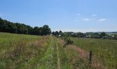 Trail Walking Saint-Hubert - A la découverte de Arville 🥾 - Photo 3