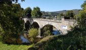 Tocht Stappen La Roche-en-Ardenne - La Roche-en-Ardenne - Photo 6