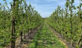 Tour Wandern Tienen - S-GR Hageland : Tienen - Terhagen - Photo 9