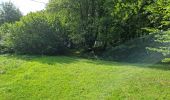 Trail Walking Marray - Marray - Les versants de la Dême - Photo 10