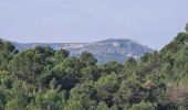 Randonnée Marche Nans-les-Pins - Nans les pins - sources de l'huveaune - Photo 9