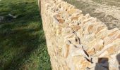 Trail Walking Meursault - Meursault le sentier des buis page 121 - Photo 1