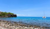 Tour Wandern Bouillante - 🦎 Guadeloupe - Morne Lézard 🦎 - Photo 7