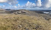 Tour Wandern West Clare Municipal District - Burren - the blue and white trains - Photo 4