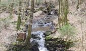 Trail Walking Schalkenmehren - Eifel Maaren - Photo 11