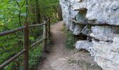Trail Walking Baume-les-Messieurs - La cascade des Tufs - Photo 4