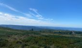 Trail Walking Le Bonhomme - Lac blanc col du calvaire - Photo 2