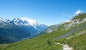 Tocht Stappen Chamonix-Mont-Blanc - Aiguillette des Posettes - Photo 17