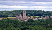 Randonnée Marche Larchant - Larchant la Féérique  - Photo 8