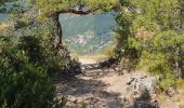 Trail Walking Saint-Pierre-des-Tripiers - Jonte Corniches du Mejean - Photo 4