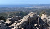 Excursión Senderismo Saint-Raphaël - Esterel : Le Mont Vinaigre par Gaspard de Besse - Photo 6