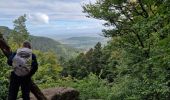 Tocht Stappen Ottrott - Le Mont Ste Odile et le mur paien - Photo 8