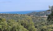 Trail Walking Sainte-Maxime - circuit panoramique Ste Maxime - Photo 20