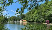 Tour Zu Fuß Radevormwald - Uelfe Rundweg A2 - Photo 1